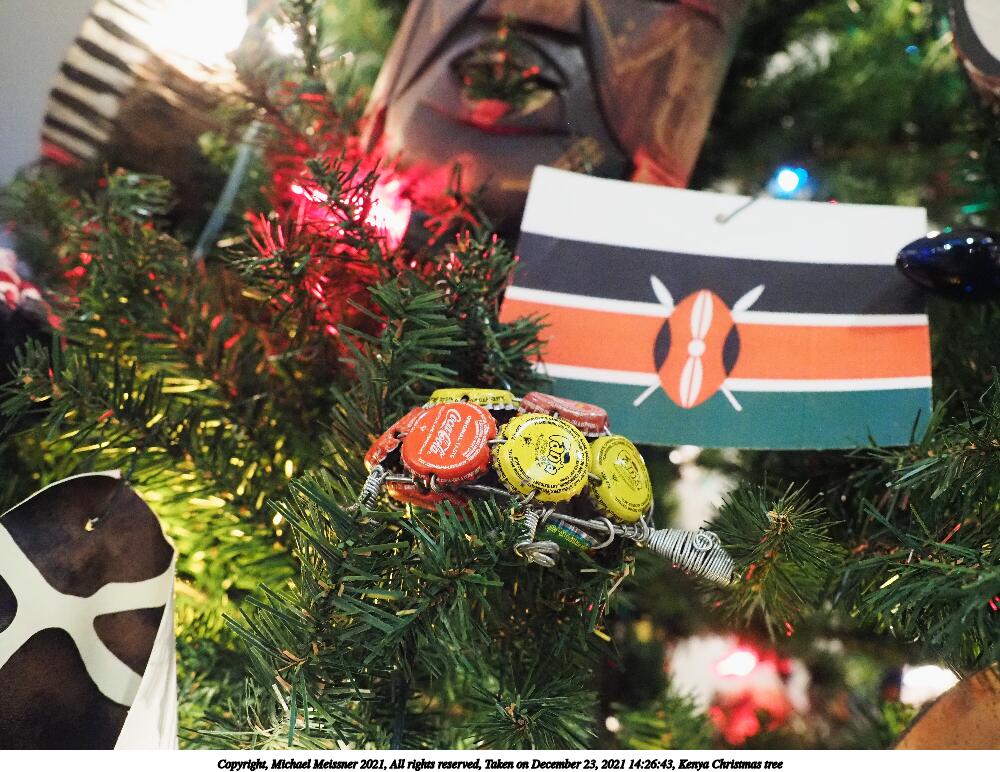 Kenya Christmas tree #3