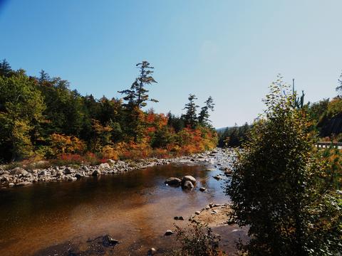 Fall on the Swift river #5