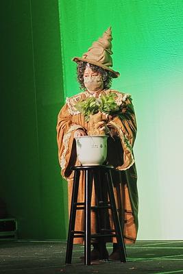 Professor Sprout and the Mandrake