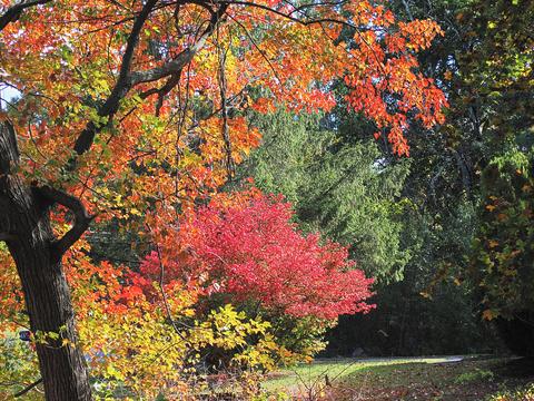Fall in Ayer, Massachusetts