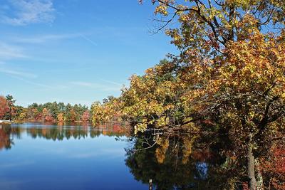 Fall in Ayer, Massachusetts #3
