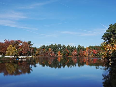 Fall in Ayer, Massachusetts #4