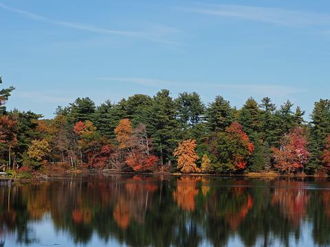 Fall in Ayer, Massachusetts #5