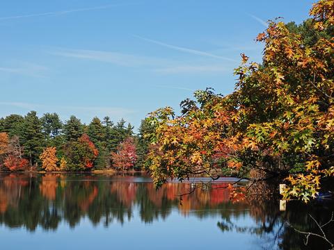 Fall in Ayer, Massachusetts #6