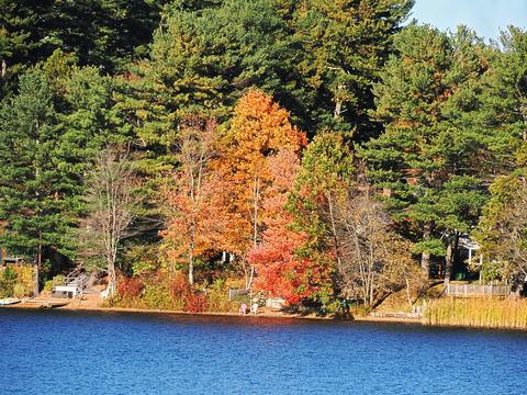 Fall in Ayer, Massachusetts #13