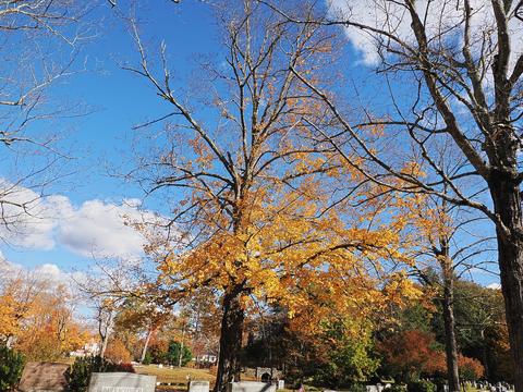 Fall at the West Parish Garden Cemetery in Andover MA. #6