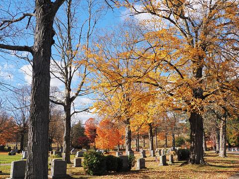 Fall at the West Parish Garden Cemetery in Andover MA. #7
