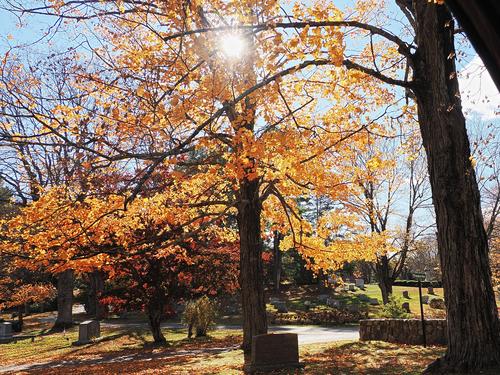Fall at the West Parish Garden Cemetery in Andover MA. #14