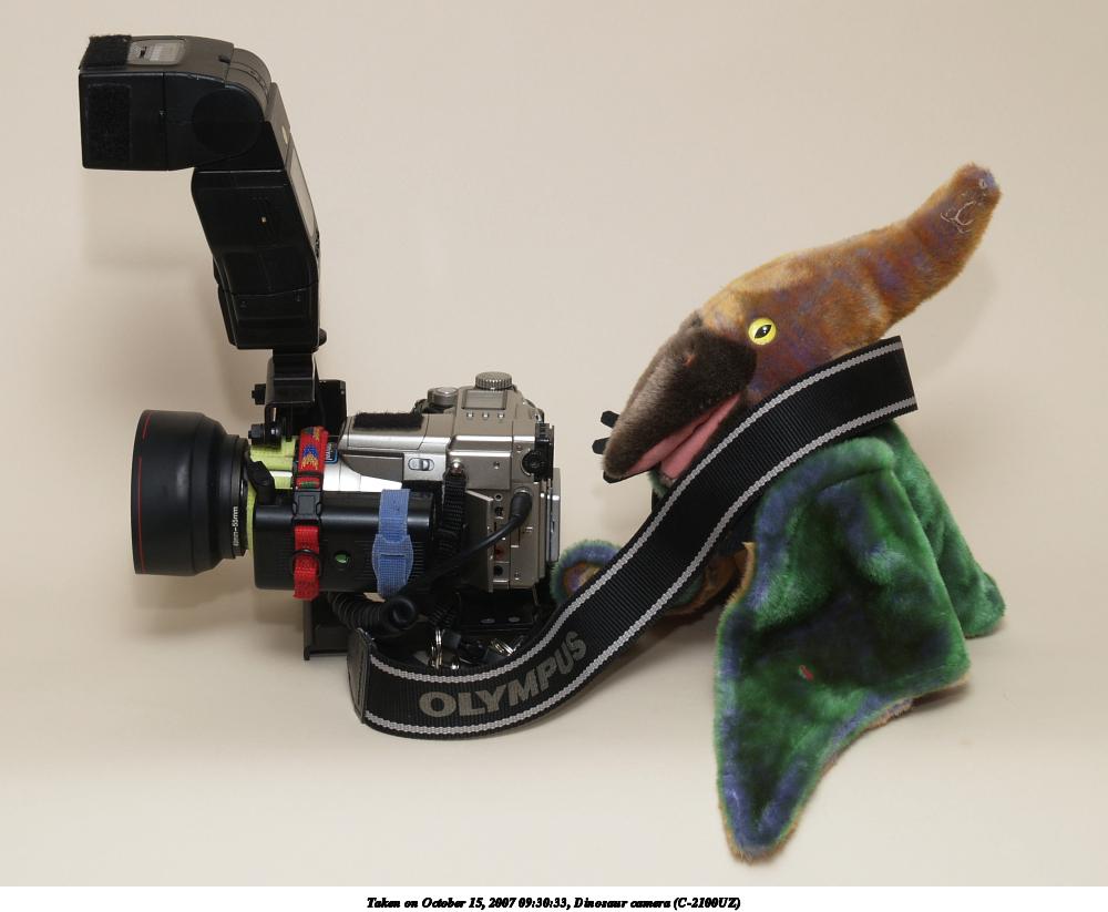 Dinosaur camera (C-2100UZ)