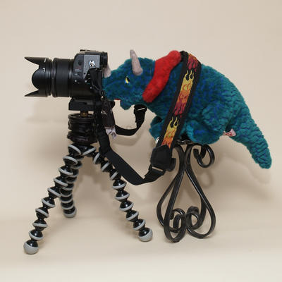 Dinosaur camera (C-8080WZ)