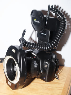 Promaster ring flash on E-510, 50mm lens