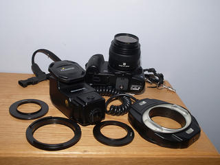 Promaster ring flash on E-510, 50mm lens #2