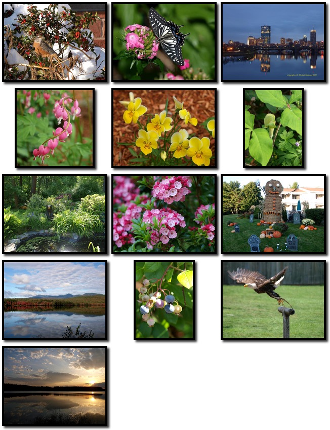 Small combination photos from 2008-2009 for a calendar for Becky
