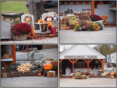 Fall farmstand