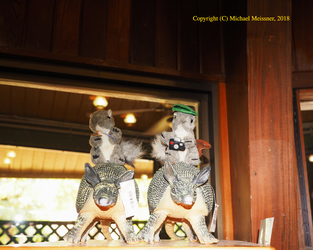Stuffed squirrels