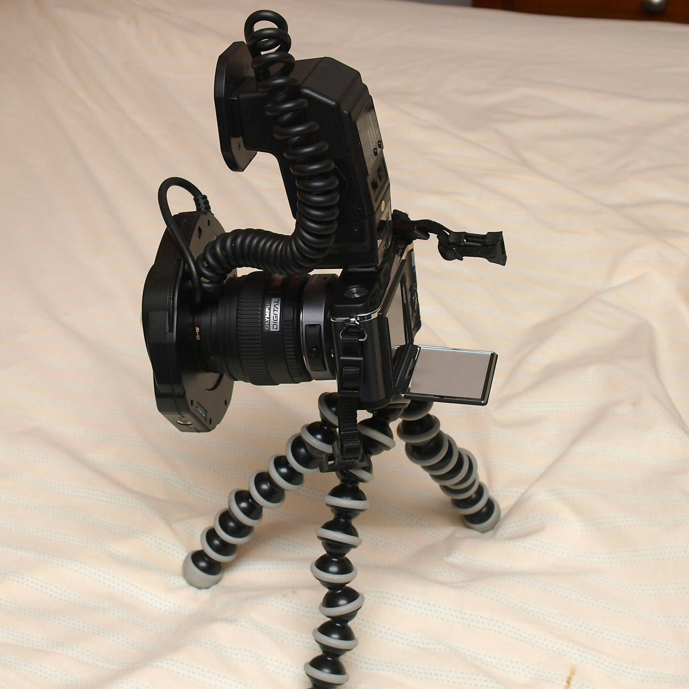Olympus E-P2, Olympus 50mm lens, Promaster ring flash