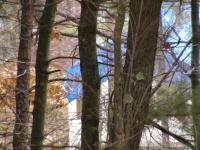 Scene at full telephoto zoom, Kenko wide angle lens