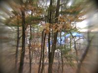 Scene at medium zoom, Tiffen wide angle lens