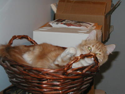 America in a basket #3