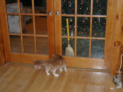 Oh darn, no Christmas for me