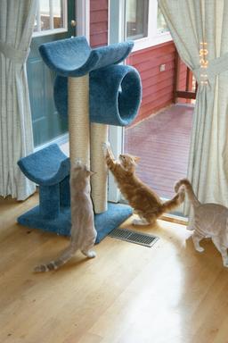 Scratching post
