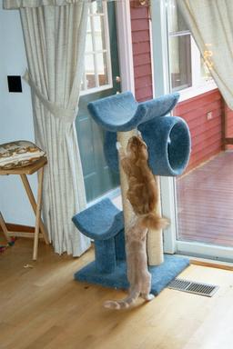 Scratching post #2