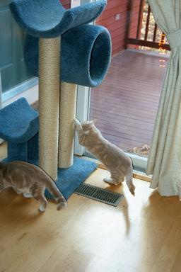 Scratching post #3