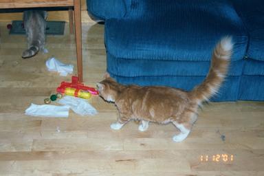 America and Aerosmith