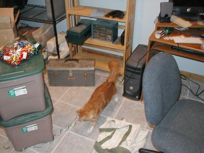 America unwrapping the ribbon