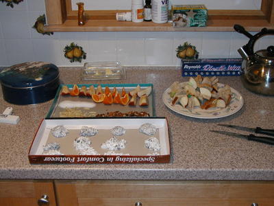 Christmas treats for the birds #2