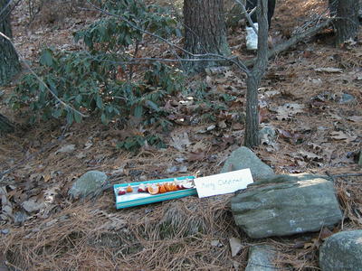 Christmas treats for the birds #3