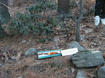 Christmas treats for the birds #4