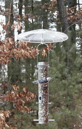 Bird feeder #12