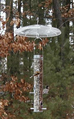 Bird feeder #15