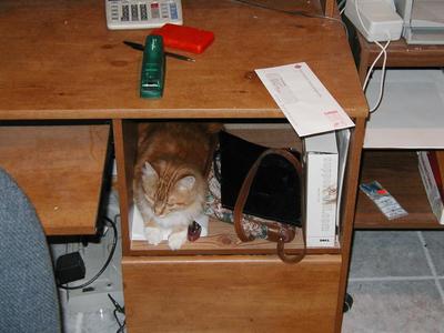 The ultimate computer accessory