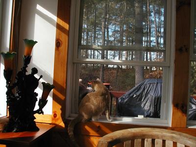 Aerosmith looking out the window