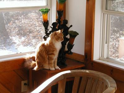 America in contemplation