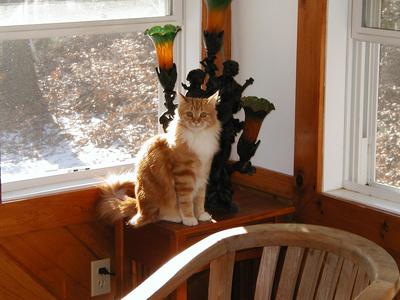 Here's looking at you kid