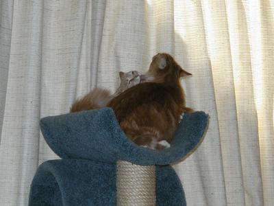 Mutual admiration society