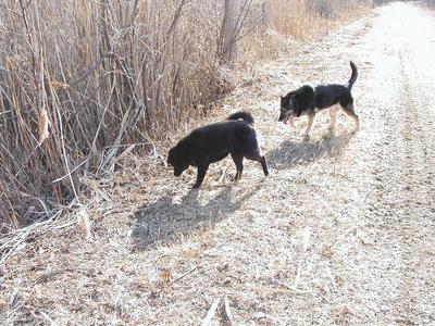 Kendra and Kristy #2