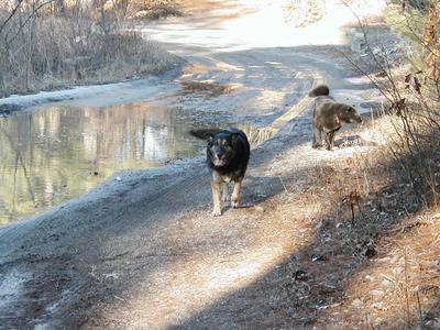 Kendra and Kristy #3