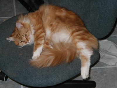 You are spoiling my beauty sleep