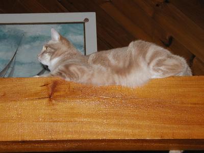 Aerosmith on beam #2