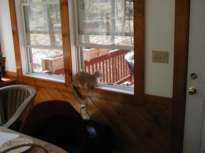 Aerosmith looking out the window