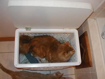 America in the laundry hamper #3