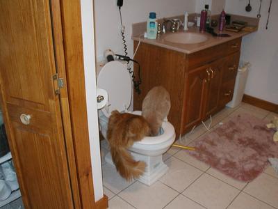 A nice refreshing after dinner drink