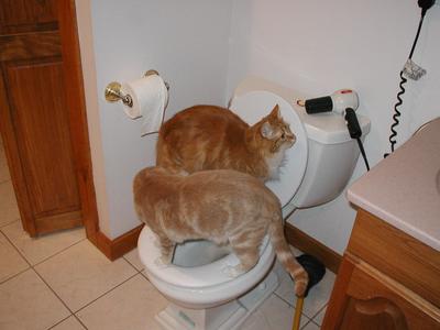 A nice refreshing after dinner drink #2