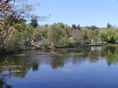 Pond scene in Ayer