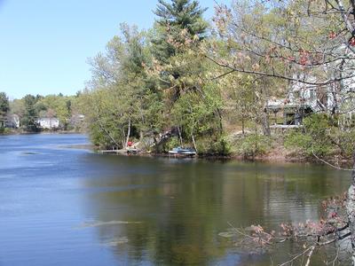 Pond scene in Ayer #4