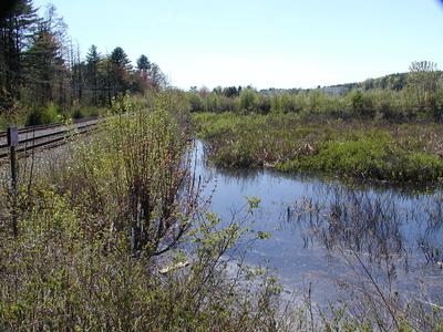 Pond by railroad tracks near our house